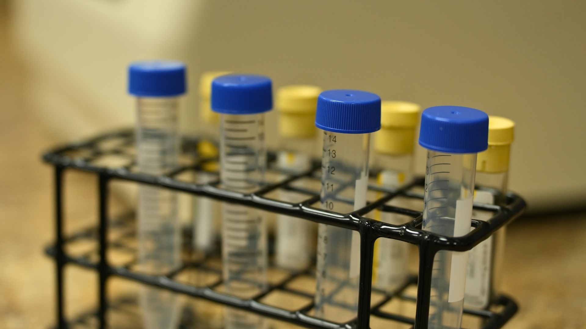 Regenerative Medicine